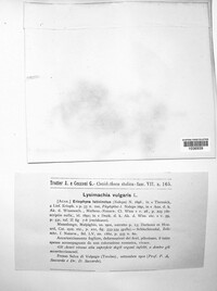 Image Associated With the Occurence